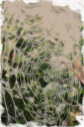 web-soft small